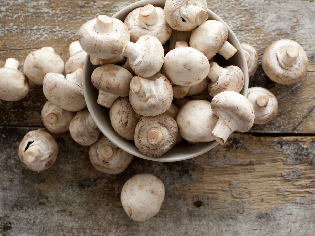 Masak Menu Simpel ala Restoran di Rumah, Tumis Jamur  Champignon