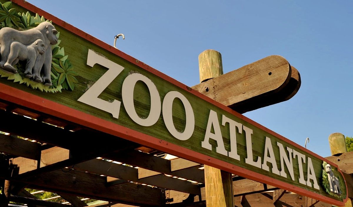 7. Zoo Atlanta: Wild Adventures in the Heart of the City