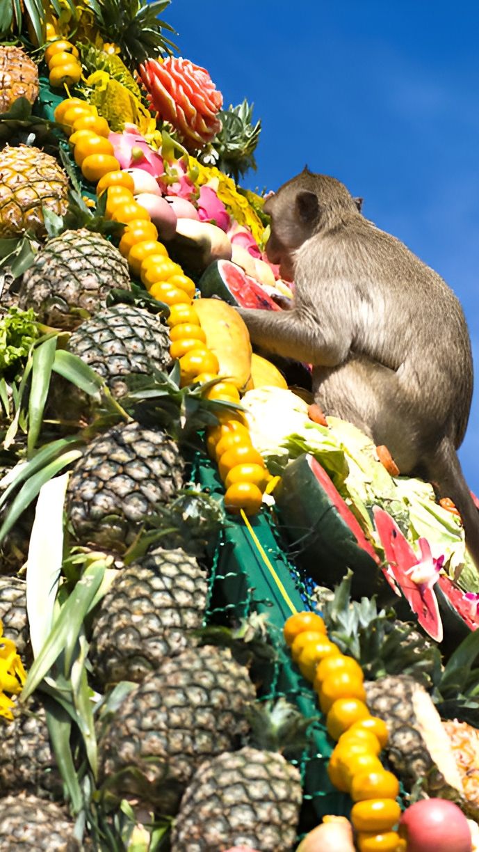 4. Monkey Buffet Festival in Lopburi<br>