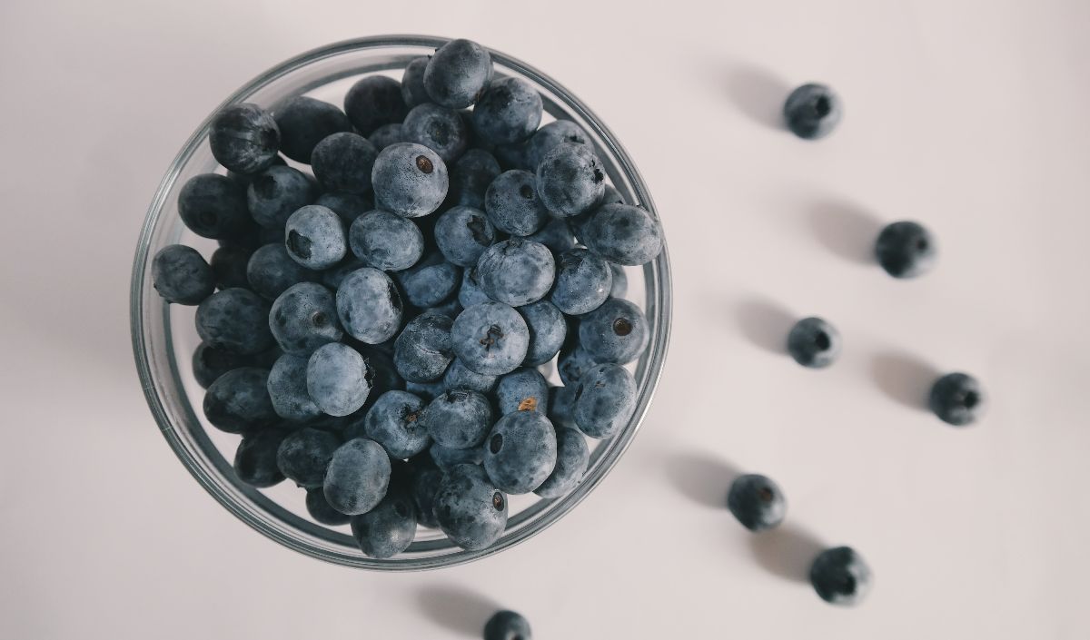 Blueberry