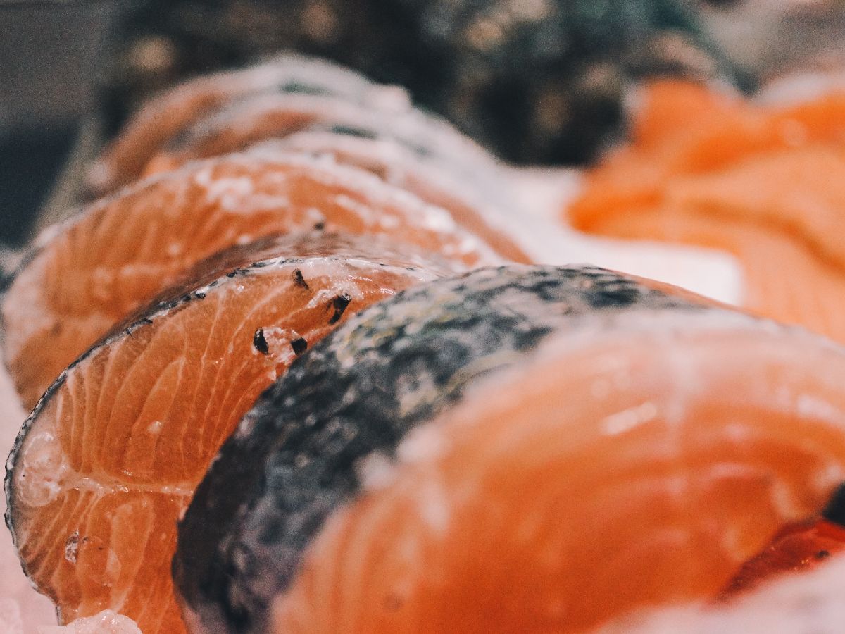 Ikan yang Mengandung Asam Lemak Omega-3