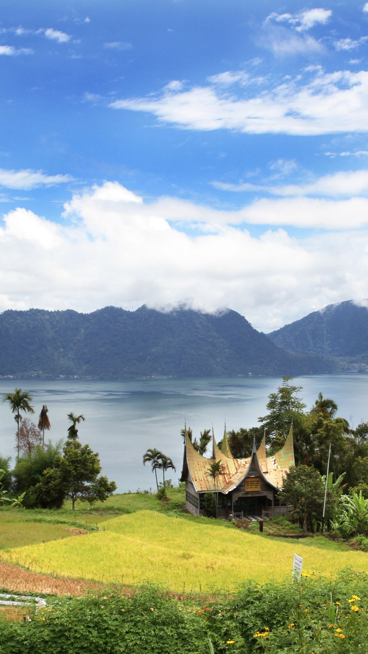 Mengunjungi Danau Maninjau, Keindahan Alam Sumatra Barat Yang Wajib ...