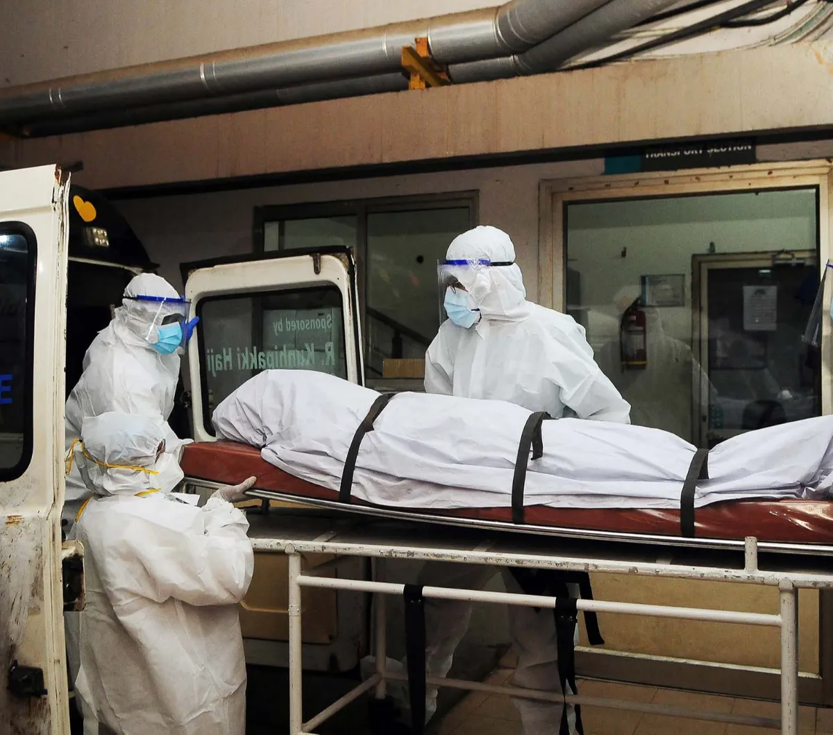 Heboh Virus Nipah di India, Sudahkah Masuk Indonesia?