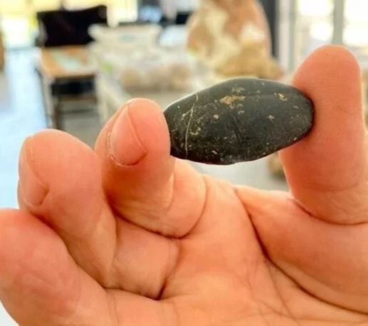 Batu Berusia 8,000 Tahun Ini Digunakan Manusia Purba untuk Berhitung