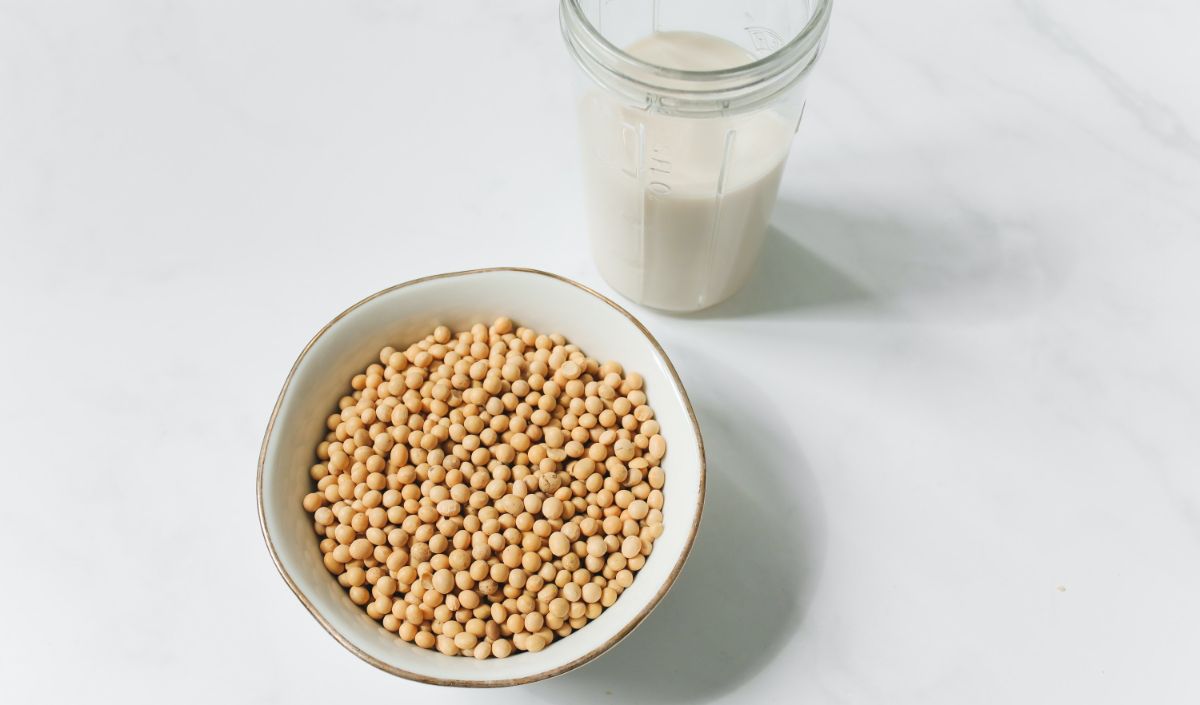 Kacang Kedelai