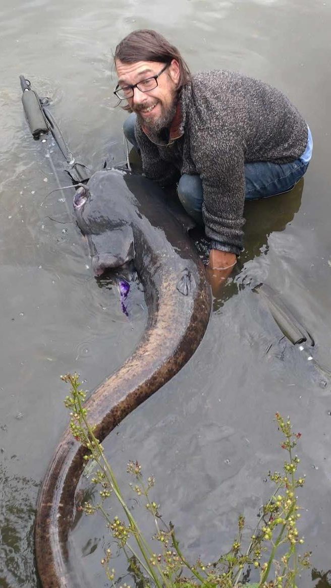 Cooke mendapatkan ikan raksasa itu saat memancing di tempat pemancingan alam Linear Fisheries, Danau St John, Witney.