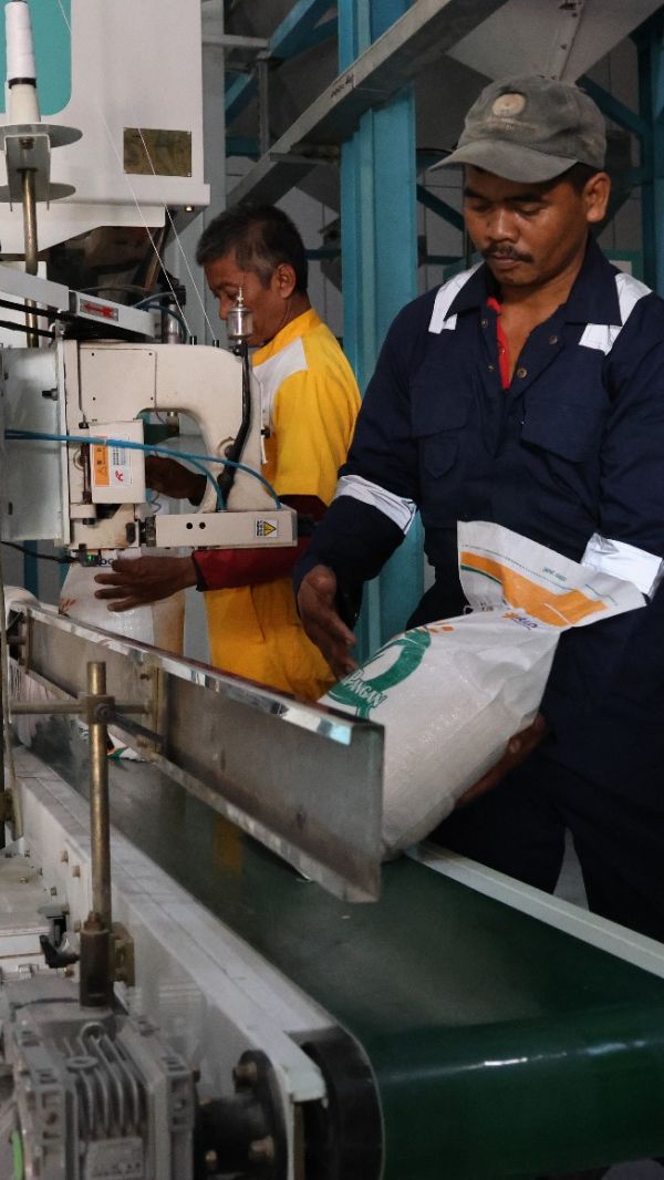 Kepala Bapanas Kunjungi Gudang Bulog Telukan Sukoharjo, Pastikan Beras Bantuan Pangan Berkualitas Baik 