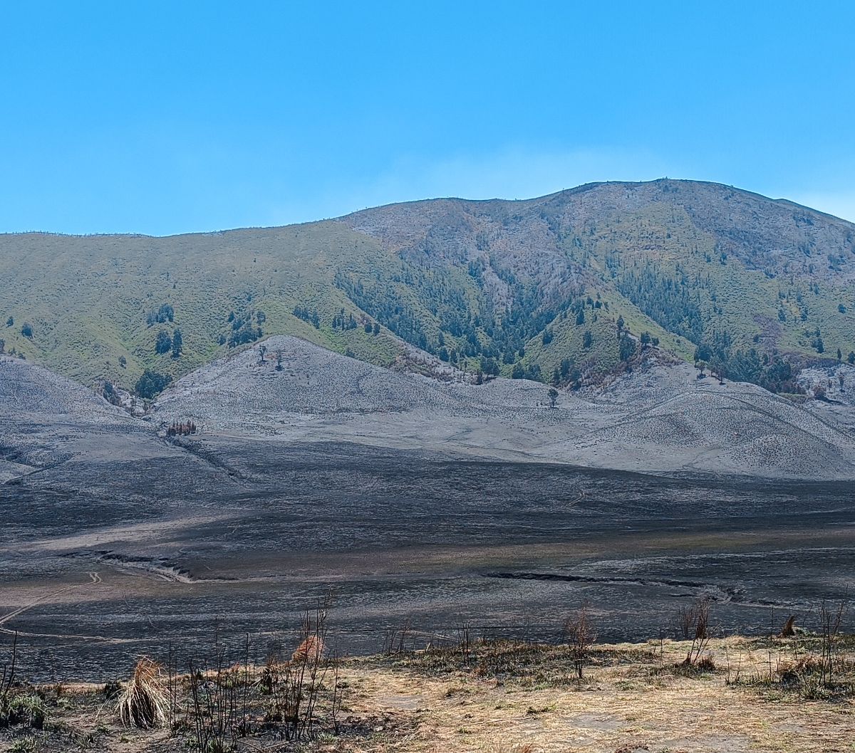 Kebakaran Bukit Teletubbies Bromo Gara-Gara Flare Foto Prewed, Kerugian ...