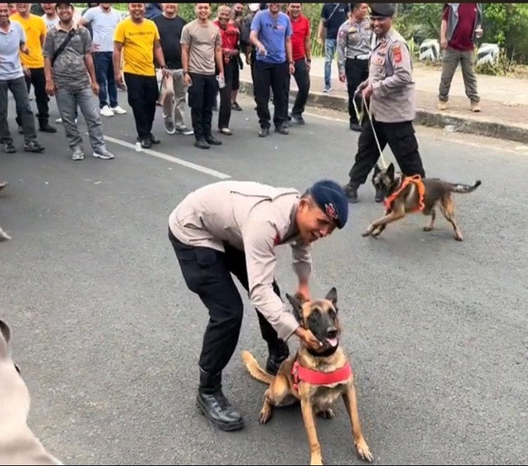 Salah Sasaran, Aksi Anjing Polisi Tak Sengaja Gigit Sang Komandan Ini Viral