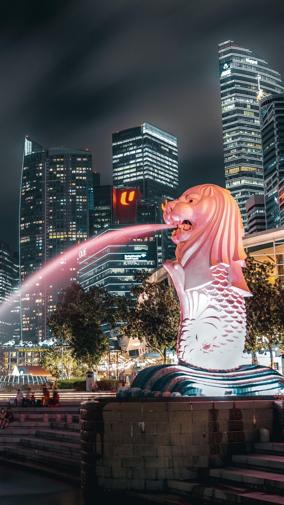 Singapura Izinkan Penumpang Terbang Tanpa Paspor