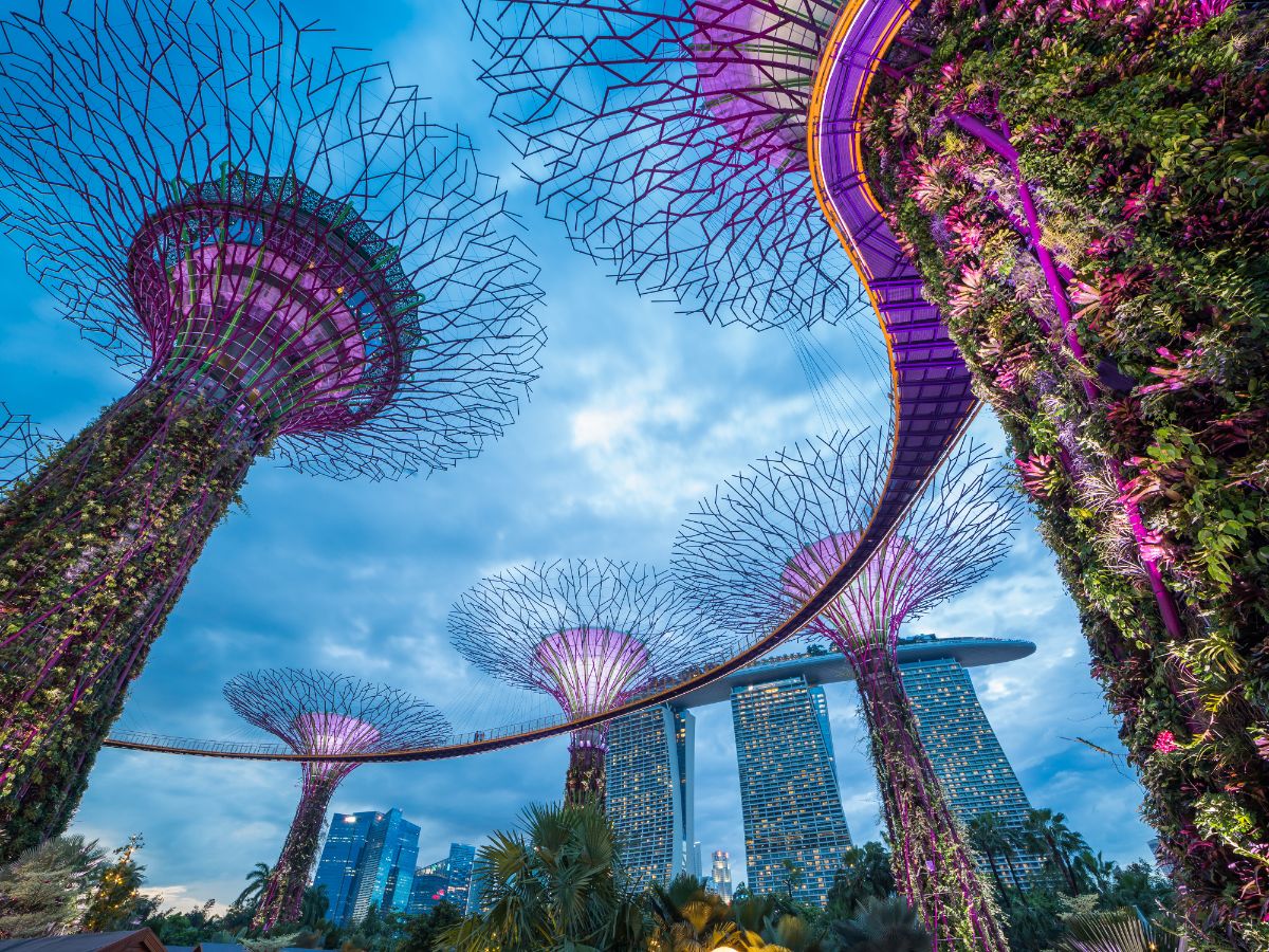 Singapura Izinkan Penumpang Terbang Tanpa Paspor