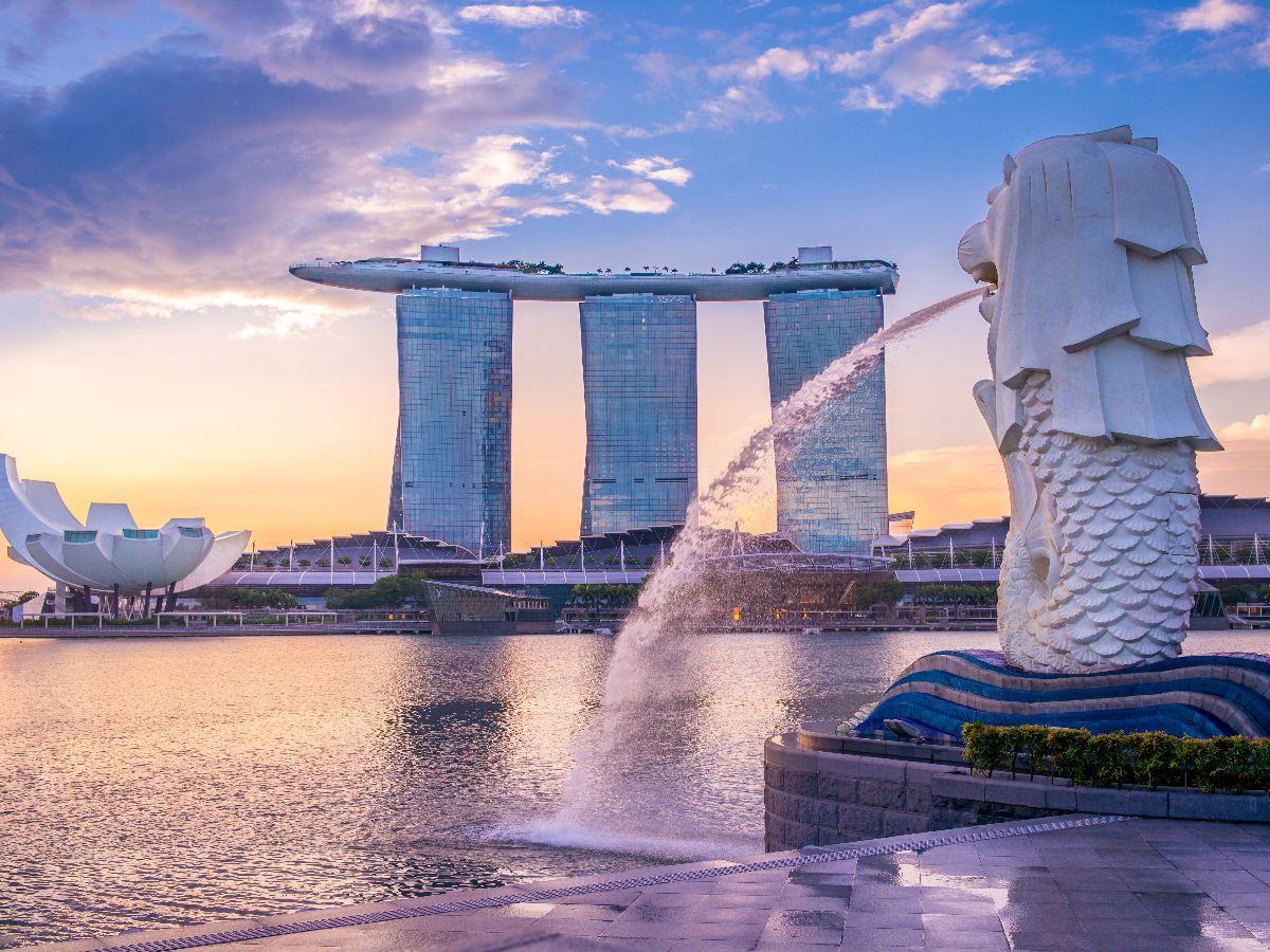 Singapura Izinkan Penumpang Terbang Tanpa Paspor