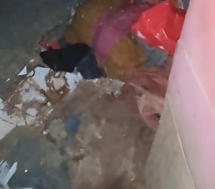 Penghuni Wanita 2 Bulan Tak Bayar Sewa, Saat Kontrakan Dicek Kondisinya Lebih Jorok dari Tempat Sampah dan Menyeramkan