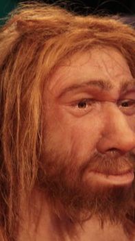 Kotak Misterius di Museum Ini Berisi Puluhan Kerangka Manusia Neanderthal yang Hidup 50.000 Tahun Lalu, Begini Bentuknya
