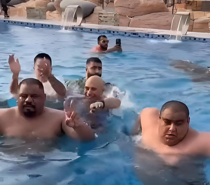 Ngakak! Bapak-Bapak Macho Auto Kocar-kacir Saat Seekor Harimau Masuk Kolam Renang