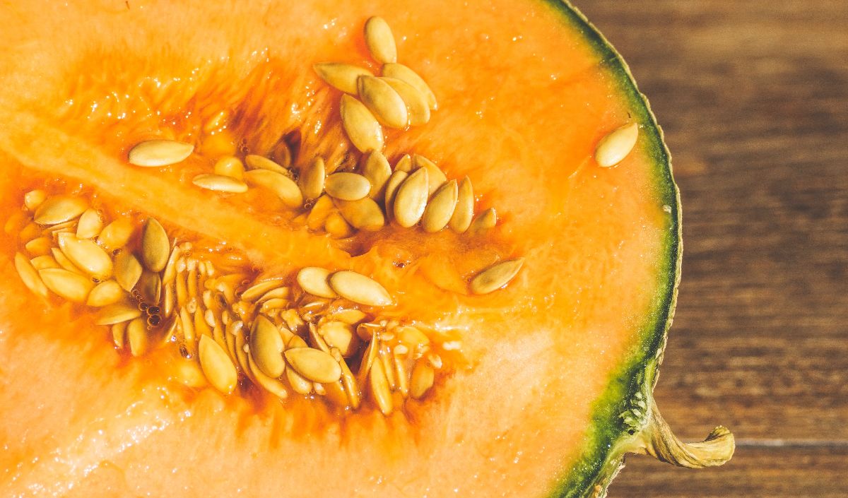 Melon
