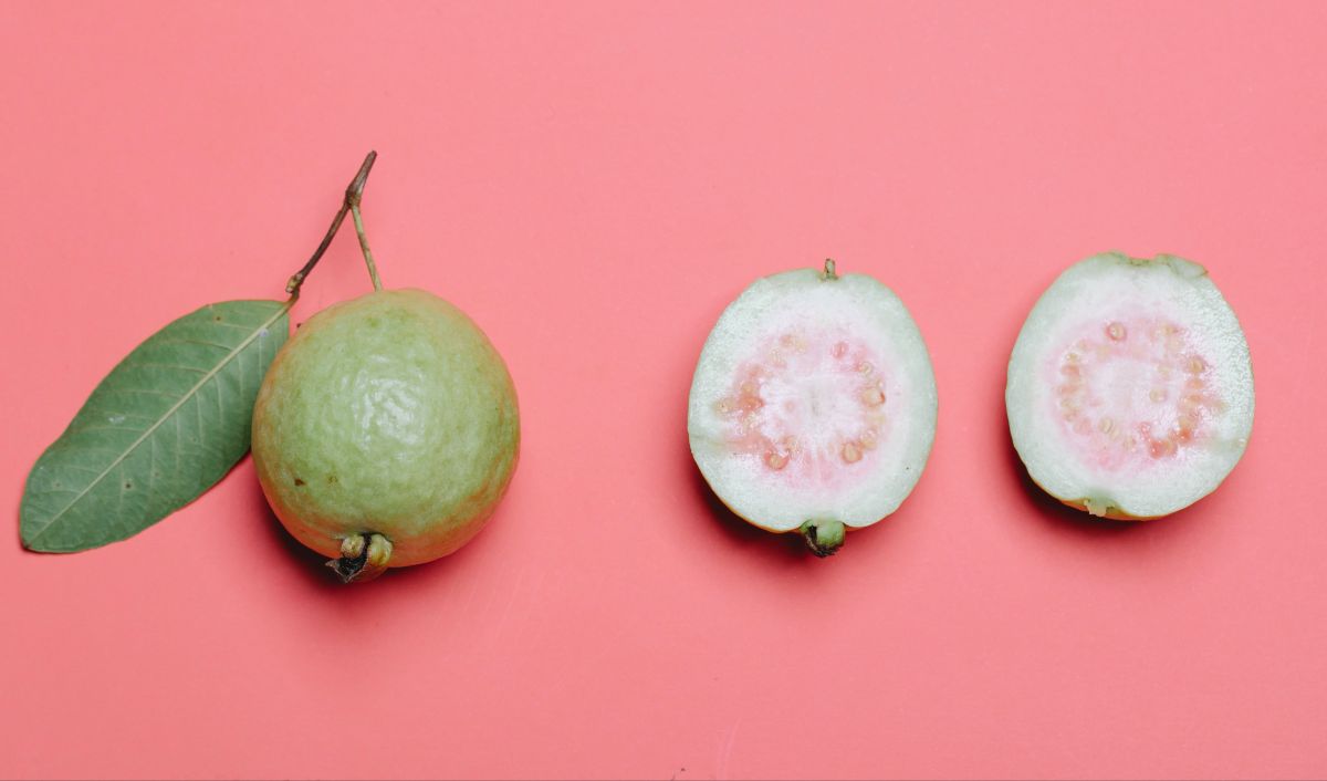 Jambu