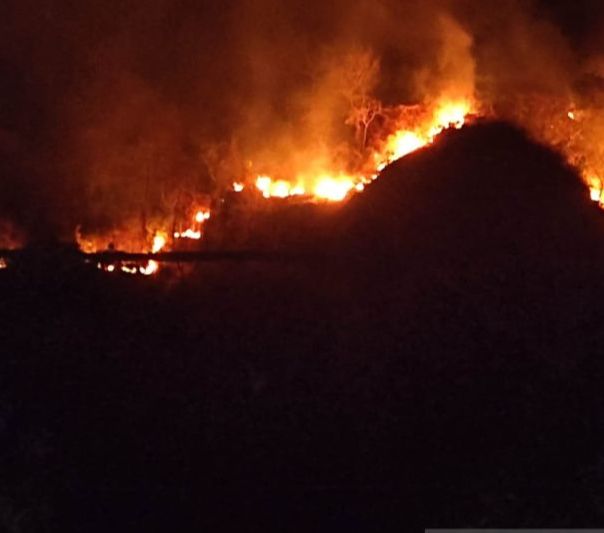 Gunung Jayanti Terbakar, Kobaran Api Mengarah ke Gedung BMKG Pelabuhan Ratu