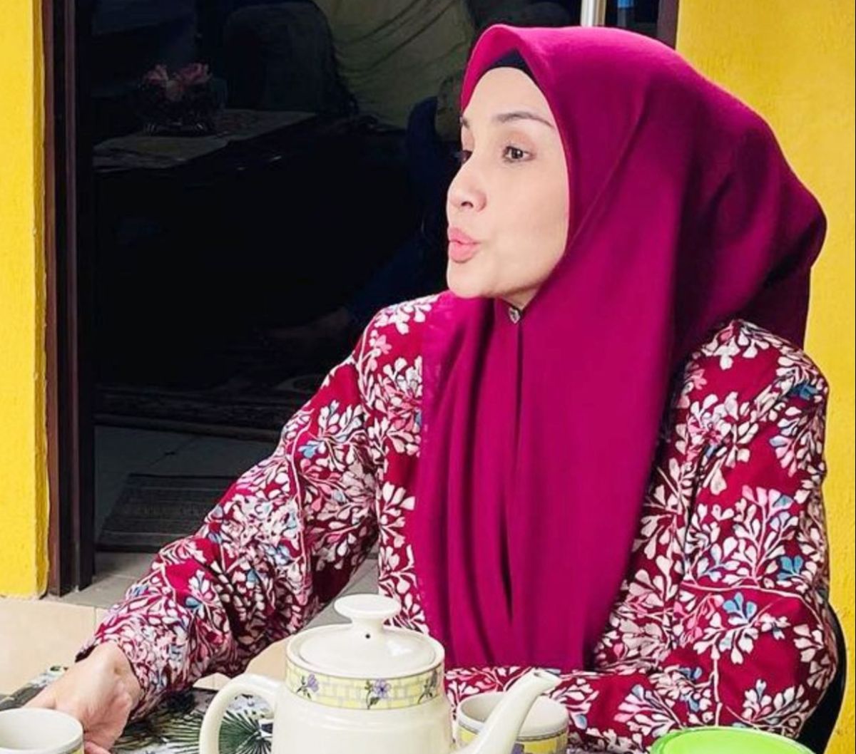 Potret Fiza Halim Penyanyi yang Dituding Selingkuh dengan Engku Emran, Akui Tak Saling Kenal!