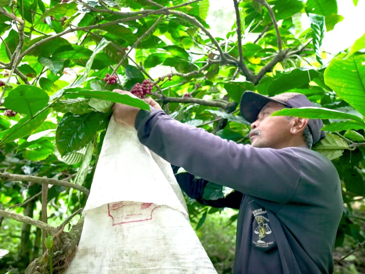 FOTO: Mengenal Desa BRILIan Trawas: Giat Pelaku UMKM Terus Tumbuh Berkat Inovasi dan Kreativitas Warga