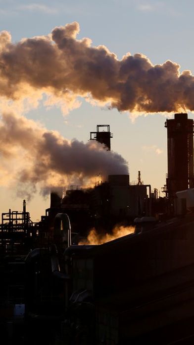 Pemerintah Resmikan Perdagangan Karbon, Kapan Pajak Karbon Bakal Diterapkan?