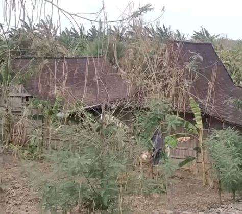 Suasana Kehidupan Kampung di Pedalaman Hutan Jati Grobogan, Hidup Tanpa Listrik
