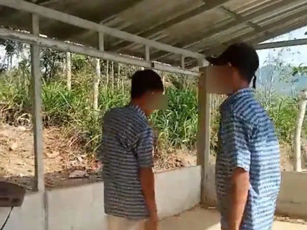 Fakta-Fakta Video Viral Siswa SMP di Cilacap: Tantangan Duel Berakhir Perundungan