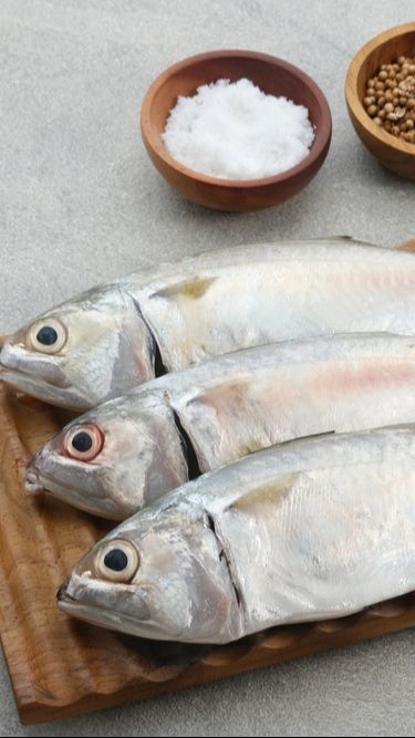 6. Ikan
