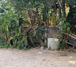 Masih Ingat dengan Lokasi Film Petualangan Sherina Pertama? Inilah Potretnya Dulu dan Sekarang yang Miris Banget