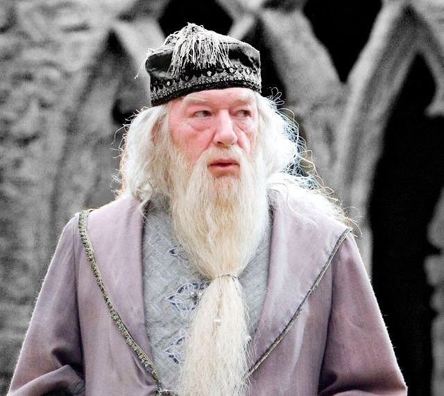 dumbledore tower lego