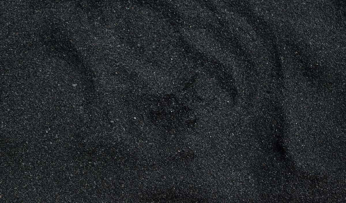 <b>1.	Charcoal</b>