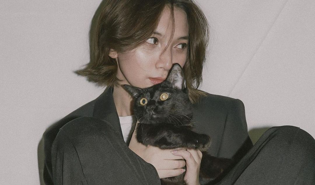 <b>Penyayang Kucing</b>