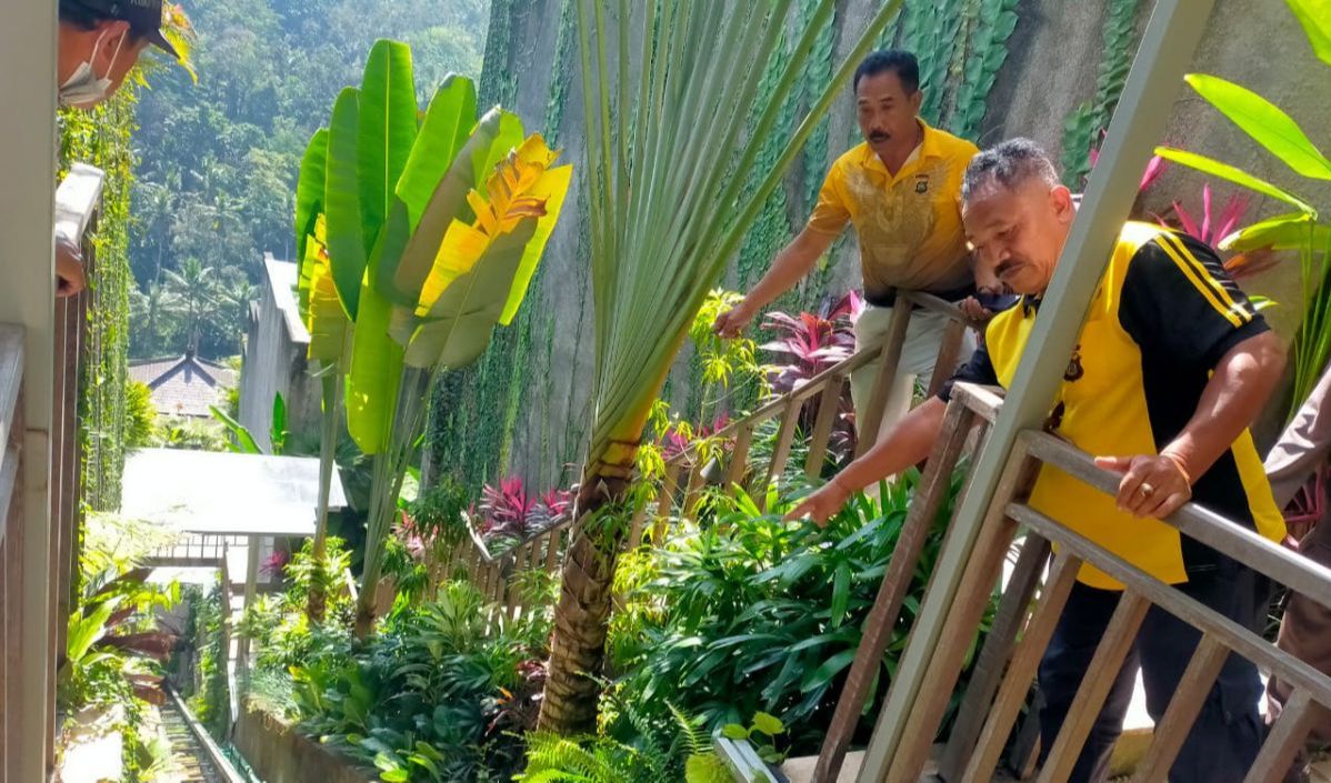 Saksi Mata