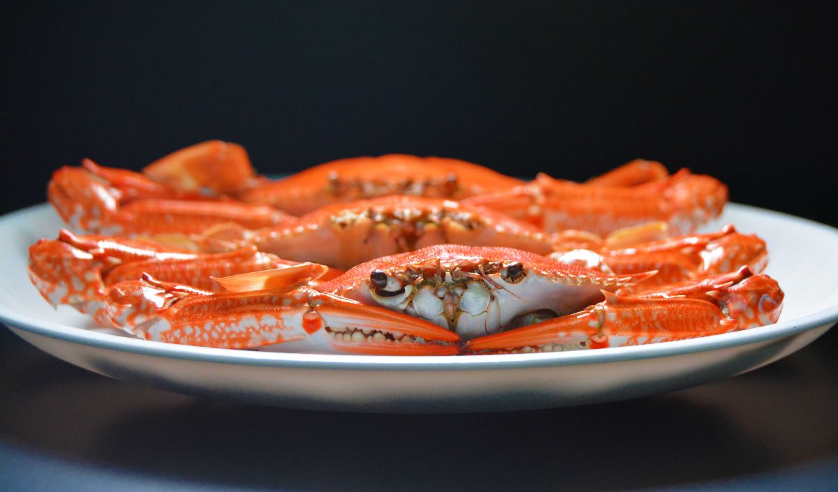 2.	Mimpi Melihat Kepiting