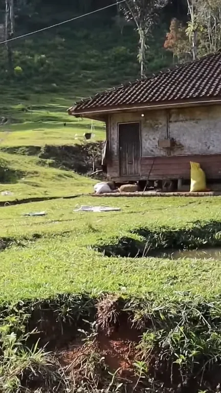 Kampung Naringgul di Cianjur Disebut Mirip Pegunungan Alpen Swiss, Yuk Intip Potret Indahnya