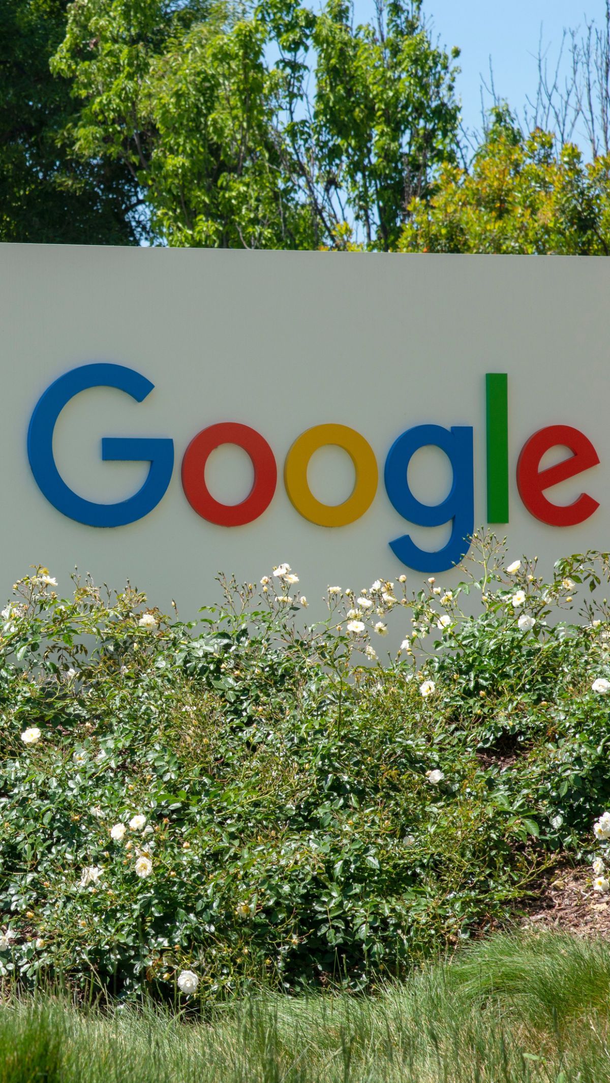 Topik Paling Dicari di Google Setelah Eksis 25 Tahun