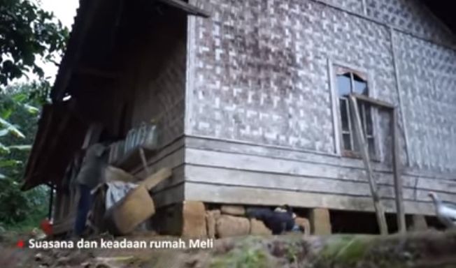 Rumah Panggung Berdinding Bambu