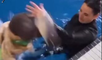 Dorong Balita hingga Jungkir Balik ke Dalam Kolam Renang