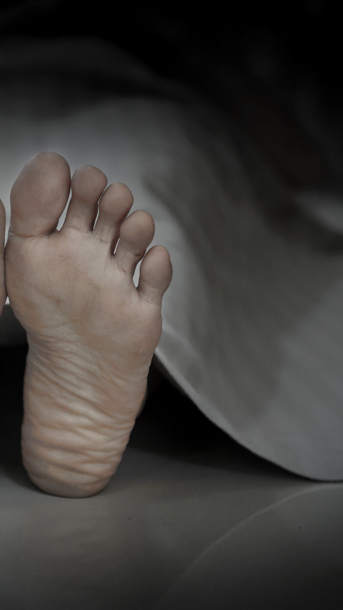 Fakta-Fakta Penemuan Mayat Ibu dan Anak di Cinere Sudah Jadi Kerangka