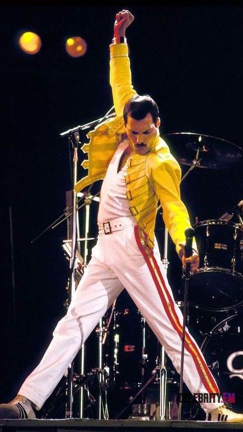 Freddie Mercury is a famous musician and the lead singer of 