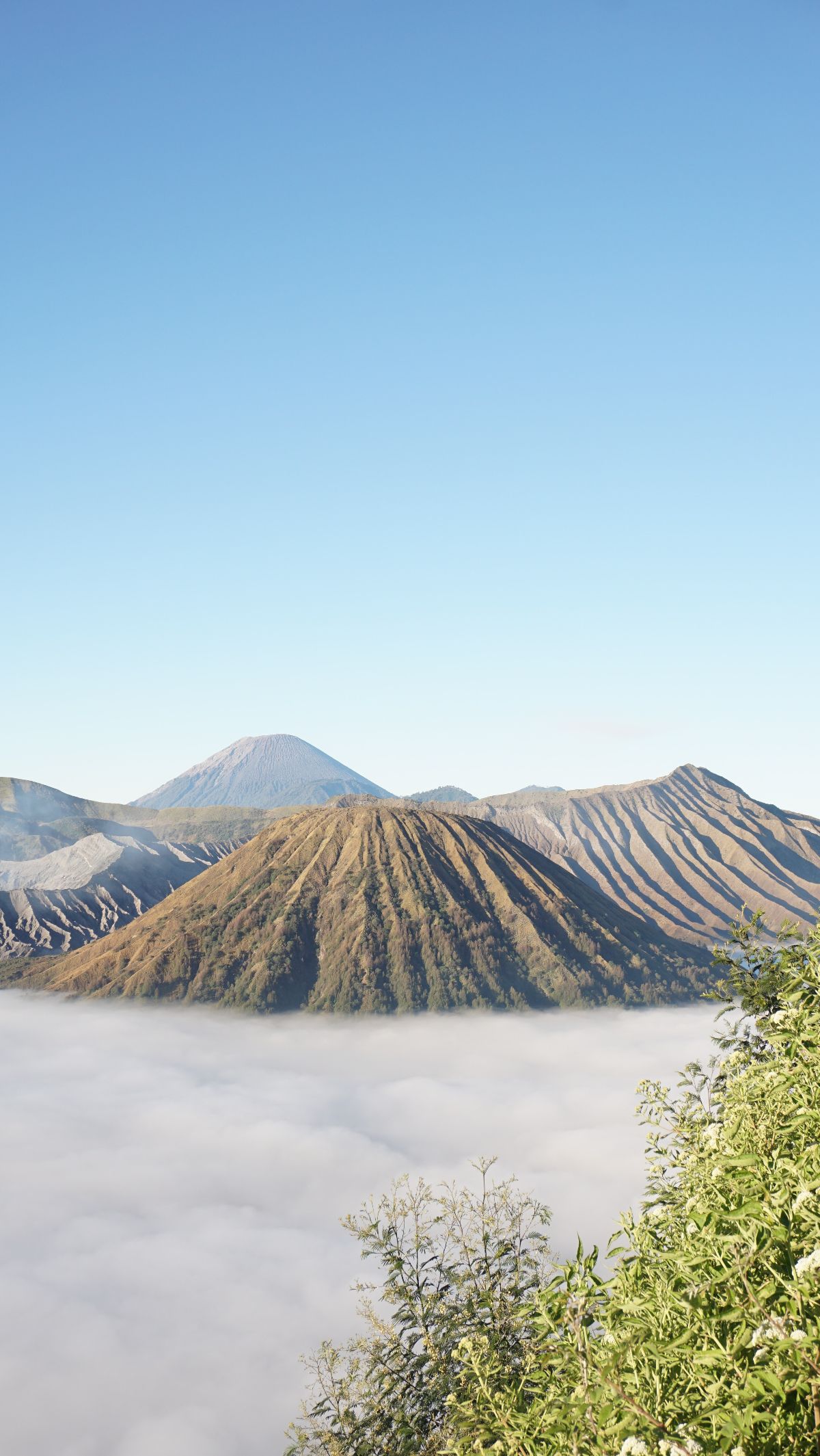 Hasil Foto Prewedding yang Bikin Kebakaran di Bromo, Netizen: Kek Fogging DBD<br>