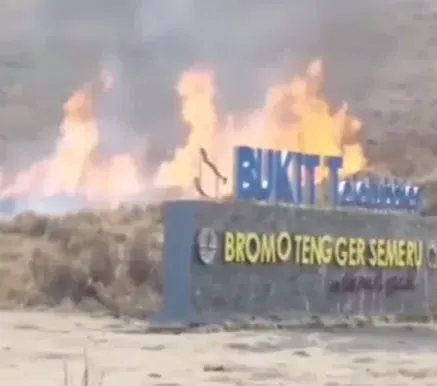 Hasil Foto Prewedding yang Bikin Kebakaran di Bromo, Netizen: Kek Fogging DBD