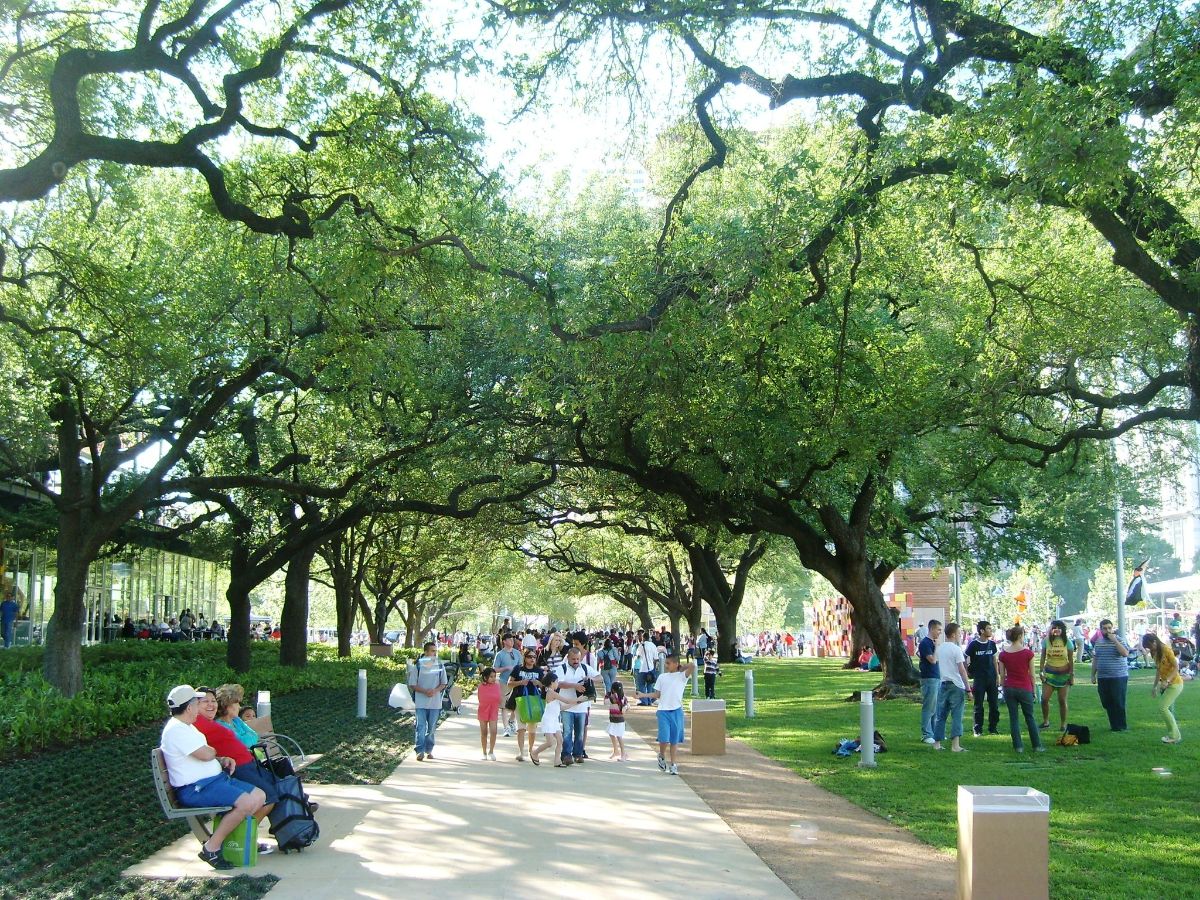 1. Discovery Green: A Hub of Activity