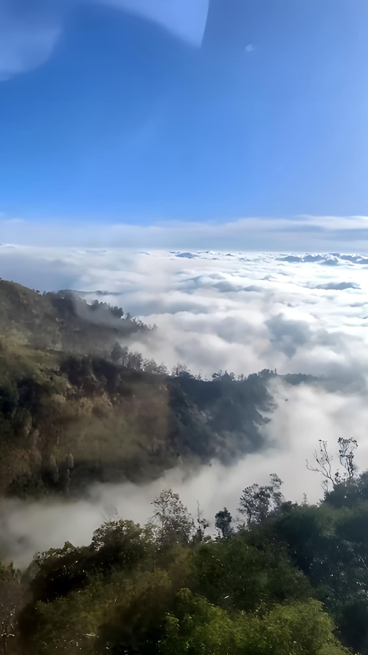 Viral Warung Kopi di Atas Awan, Pemandangan bak Kayangan di Cerita Dongeng