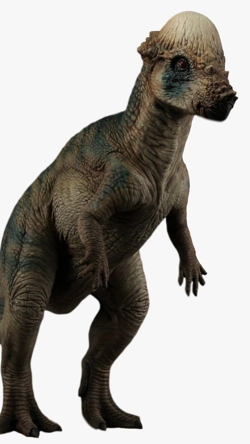 2 Jenis Dinosaurus Baru Ditemukan, Bentuknya Aneh