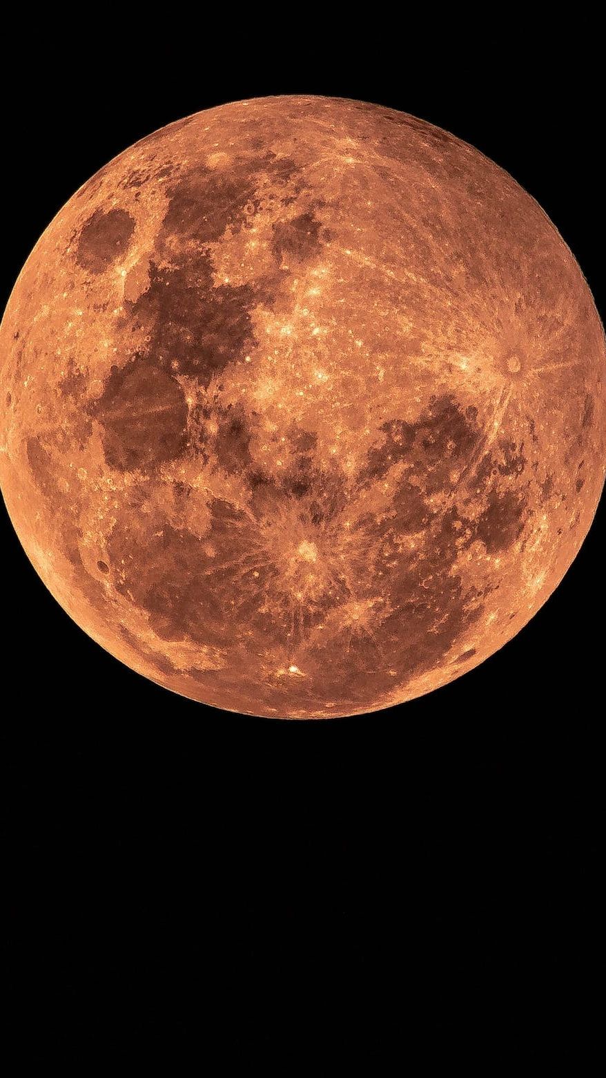 Setelah Mars, Kini Ilmuwan Sebut Venus Juga Bisa Dihuni Manusia