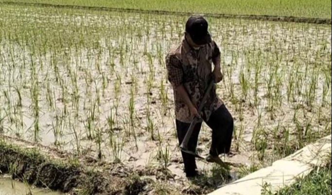 Kronologi Penagihan Rp4 Miliar