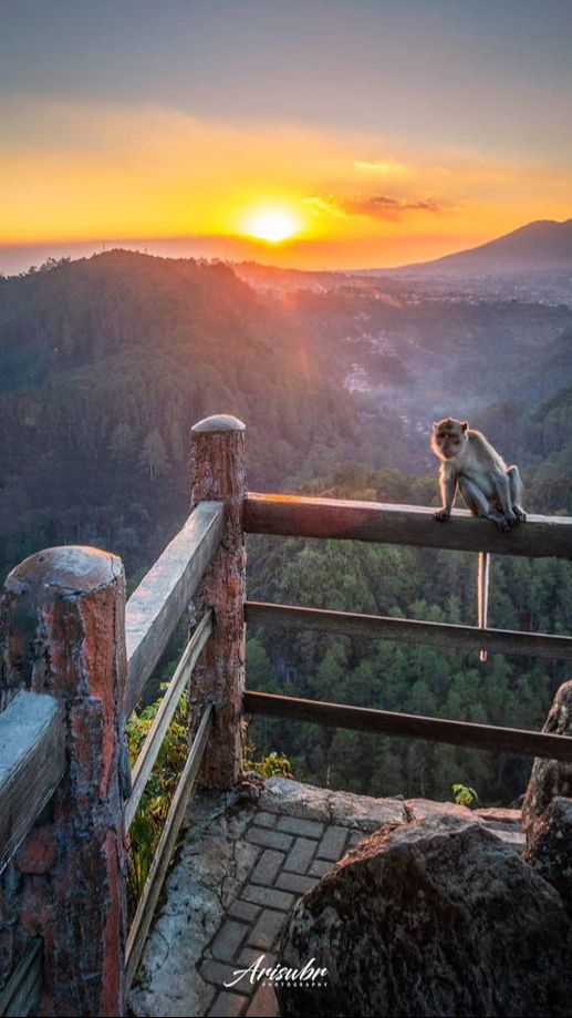 10 Wisata Bandung Yang Indah Memesona, Destinasi Wajib Saat Berkunjung