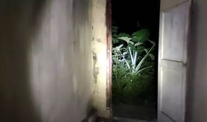 Tumbuh Ilalang