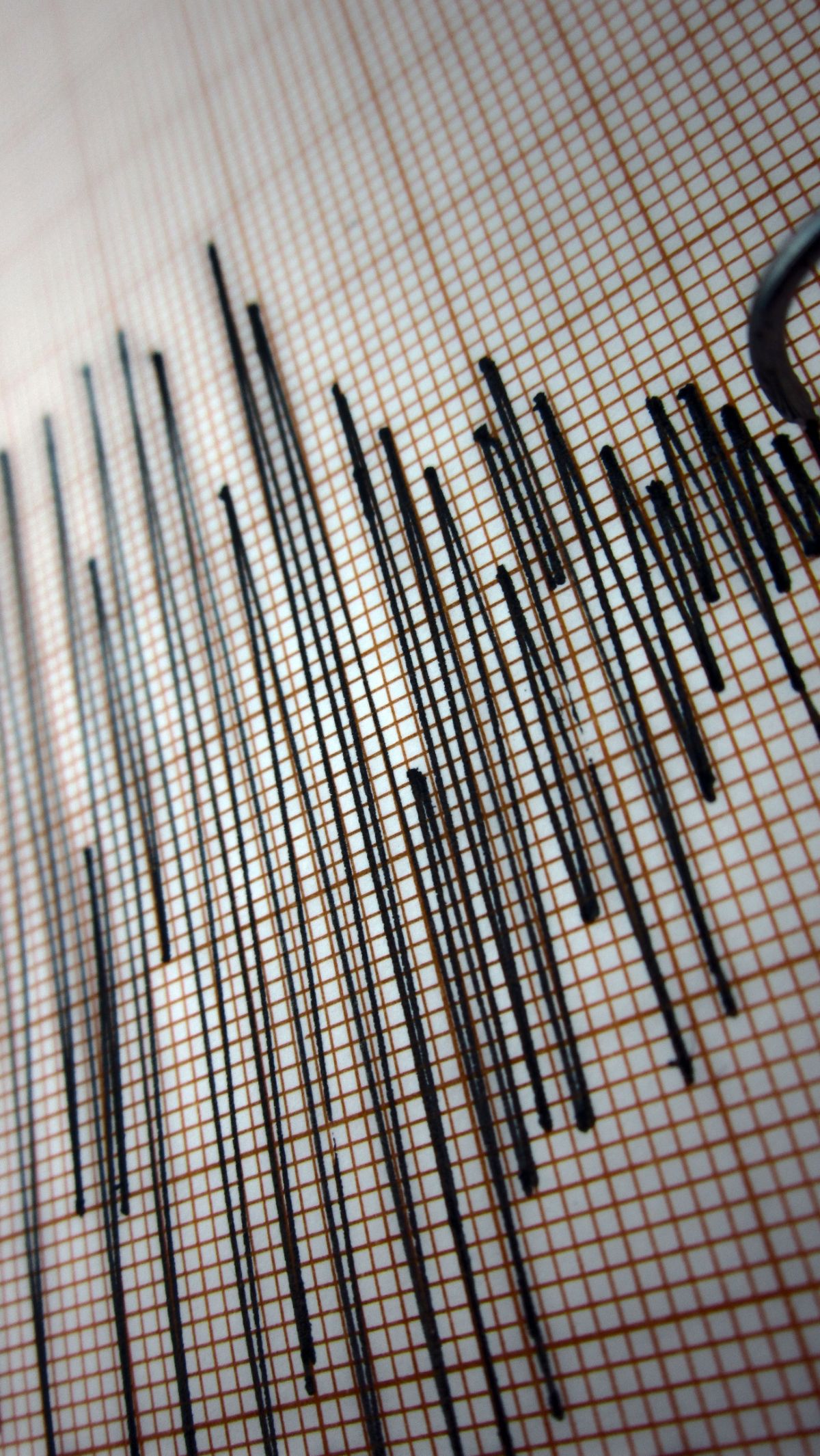 Analisis BMKG Soal Gempa M 5,9 di Banten, Terasa hingga Jakarta